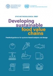 Developing sustainable food value chains - Practical guidance for systems-based analysis and design